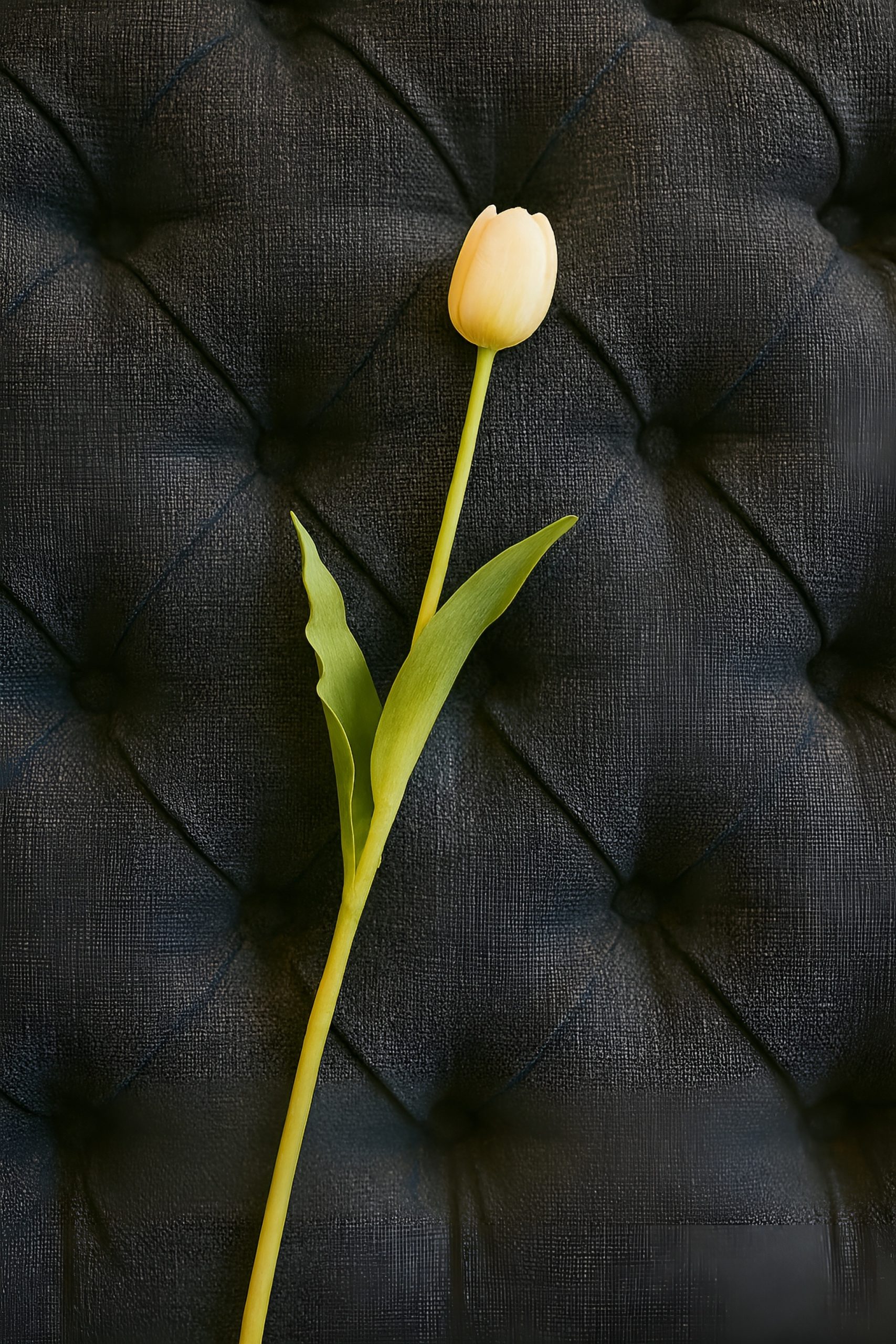 Breakfast Nook Detail 1