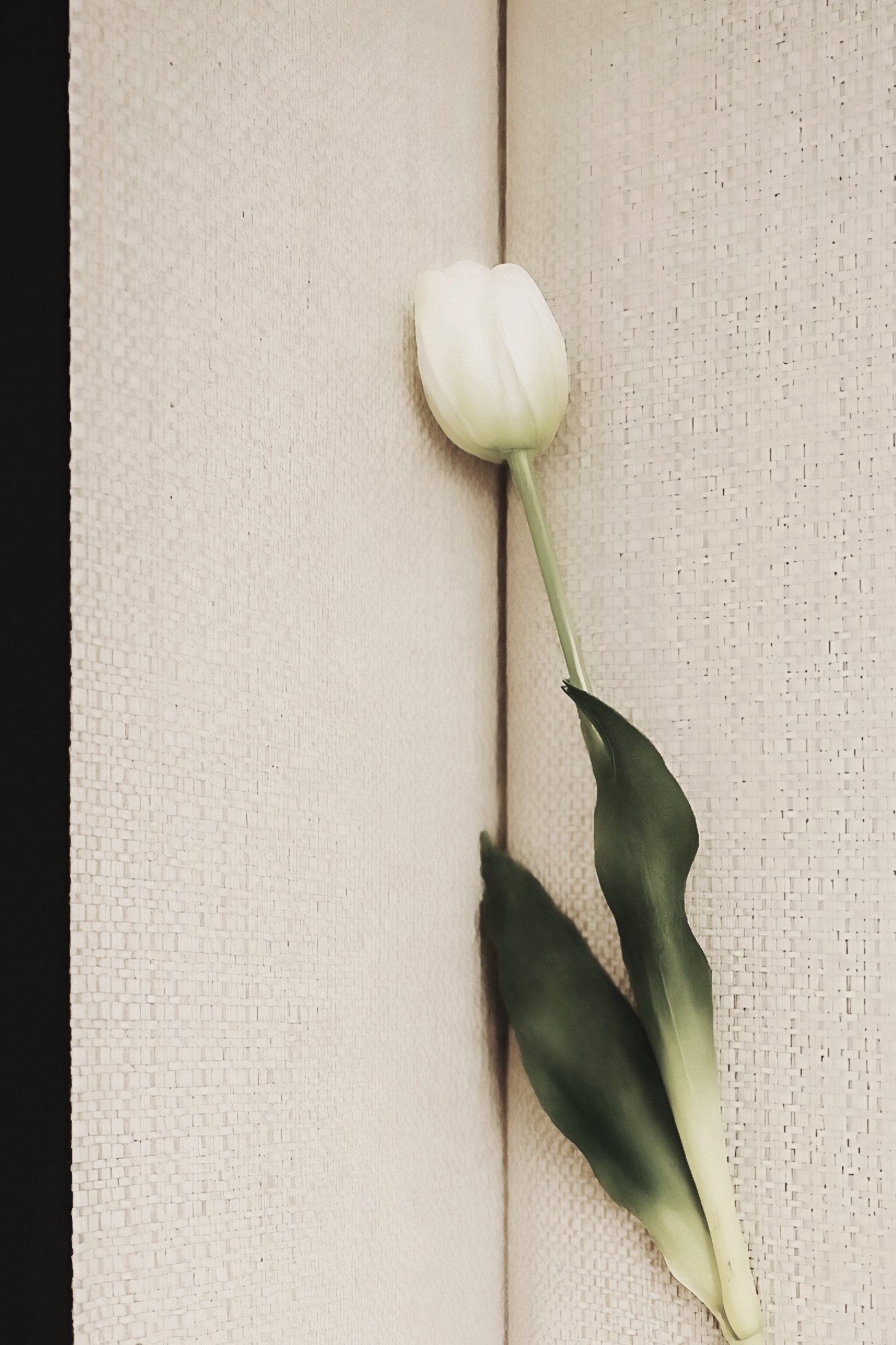 Serene Bedroom Additional View